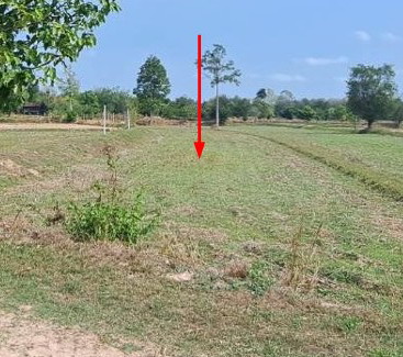 รูปที่ดินว่างเปล่า แวงน่าง เมืองมหาสารคาม มหาสารคาม
