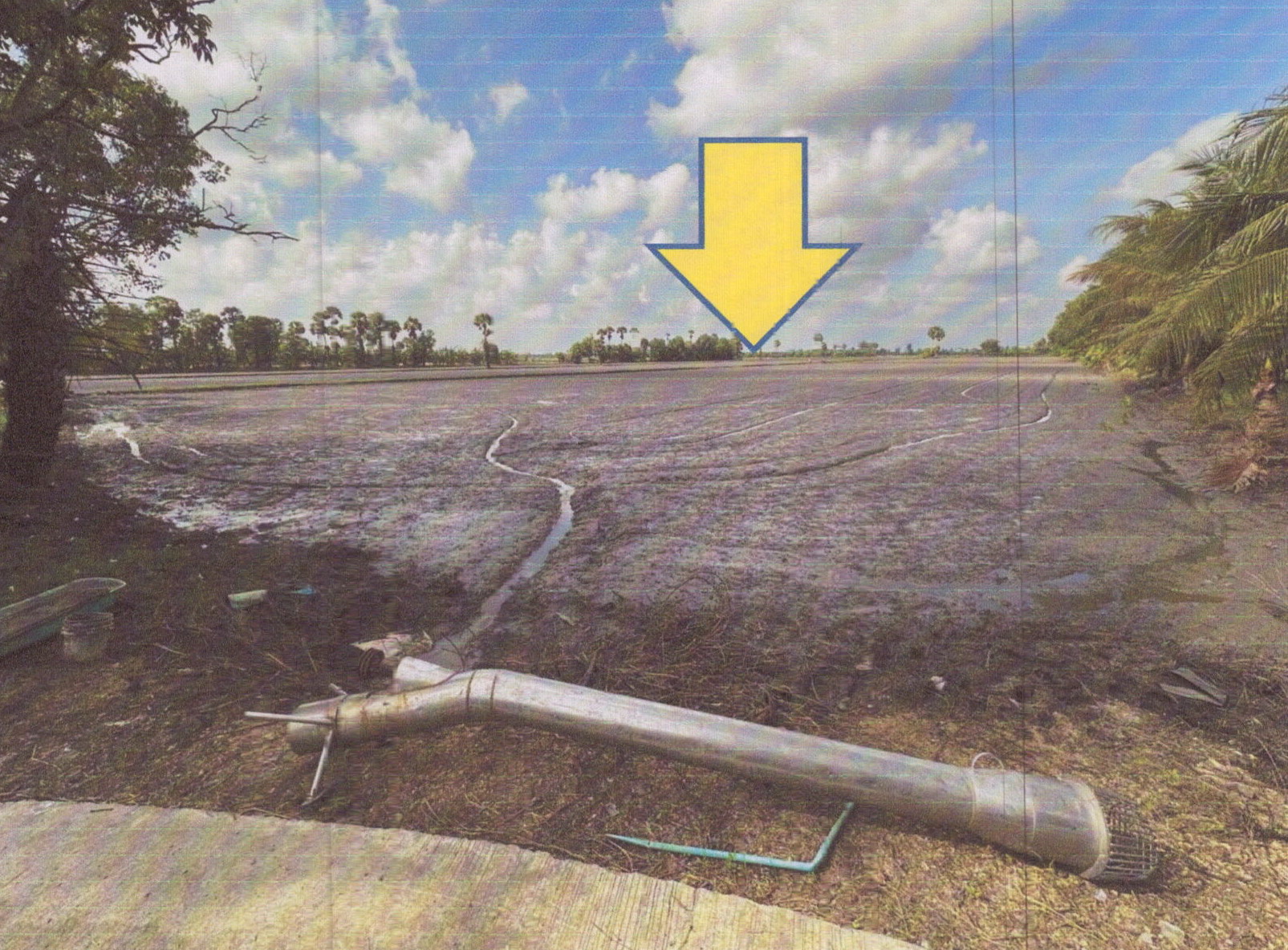 รูปที่ดินว่างเปล่า แดนสงวน ระโนด สงขลา