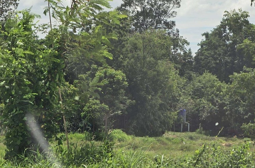 รูปที่ดินว่างเปล่า บ้านทุ่ม เมืองขอนแก่น ขอนแก่น
