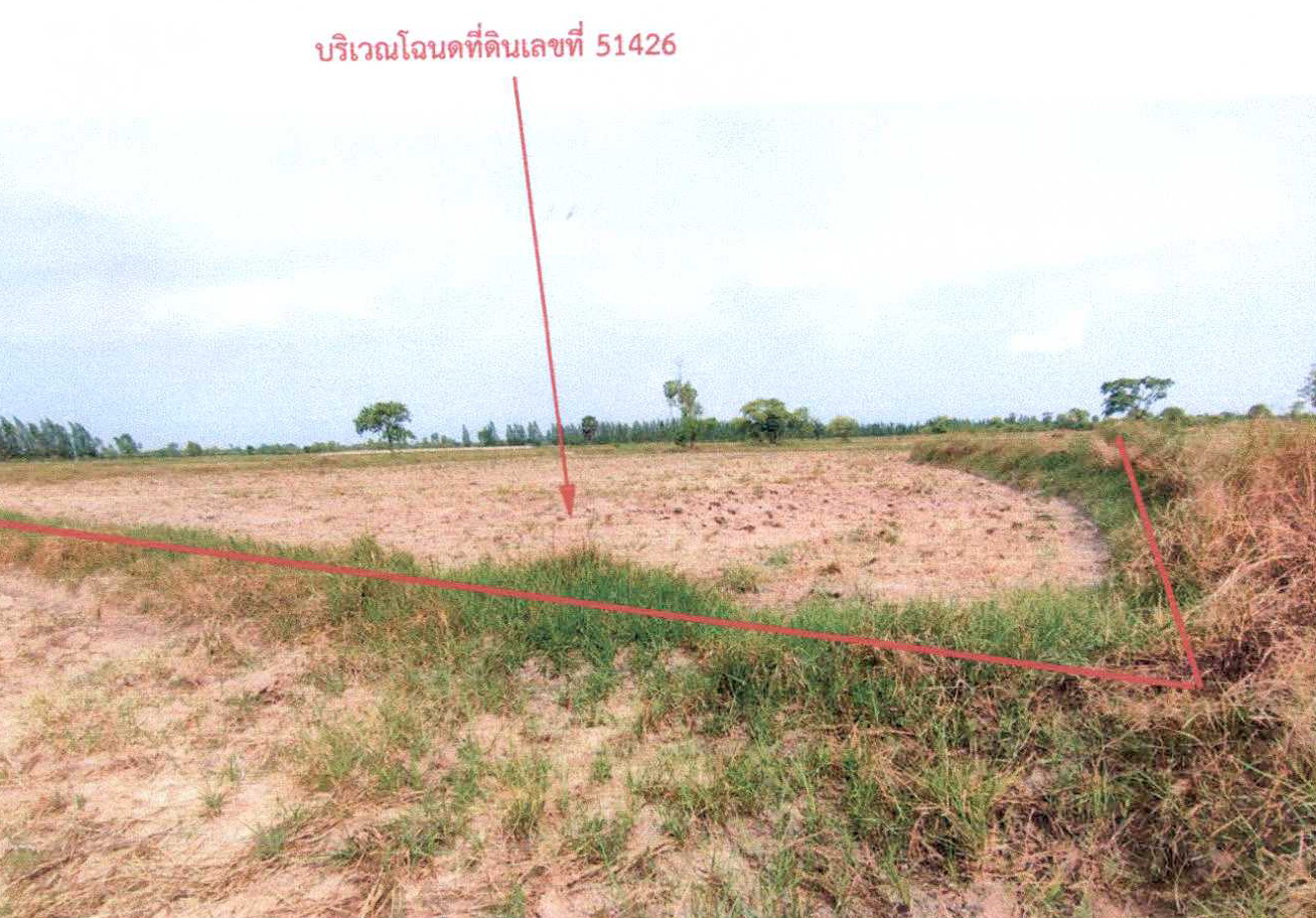 รูปที่ดินว่างเปล่า สำโรง โนนไทย นครราชสีมา