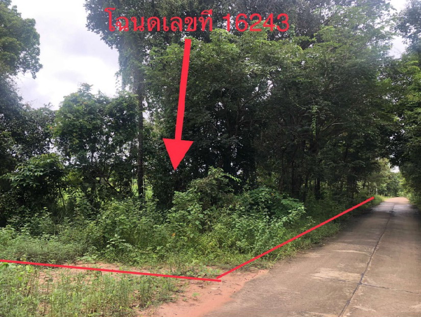 รูปที่ดินว่างเปล่า หลักเหลี่ยม นามน กาฬสินธุ์