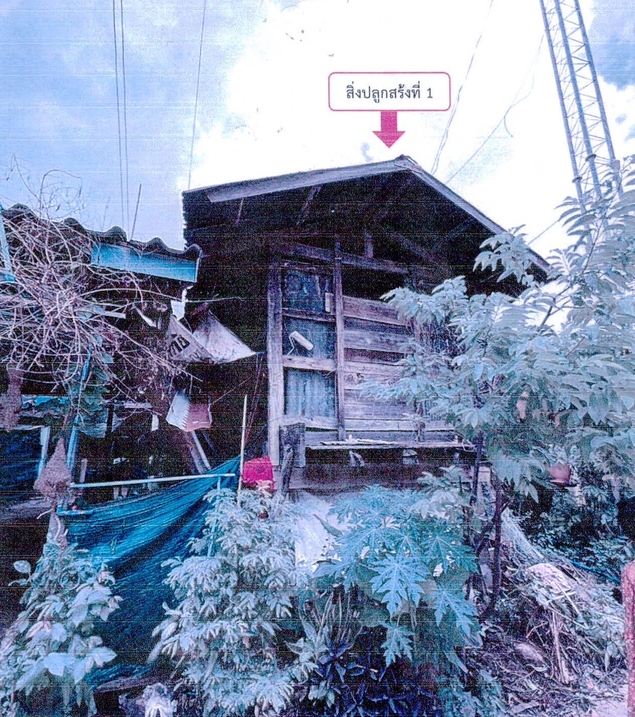 รูปที่ดินพร้อมสิ่งปลูกสร้าง โนนสัง กันทรารมย์ ศรีสะเกษ