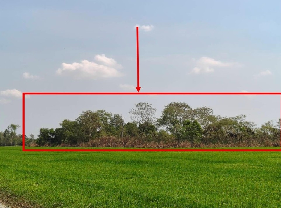 รูปที่ดินว่างเปล่า พืชอุดม ลำลูกกา ปทุมธานี