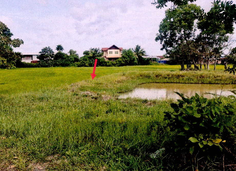 รูปที่ดินว่างเปล่า จะกง ขุขันธ์ ศรีสะเกษ