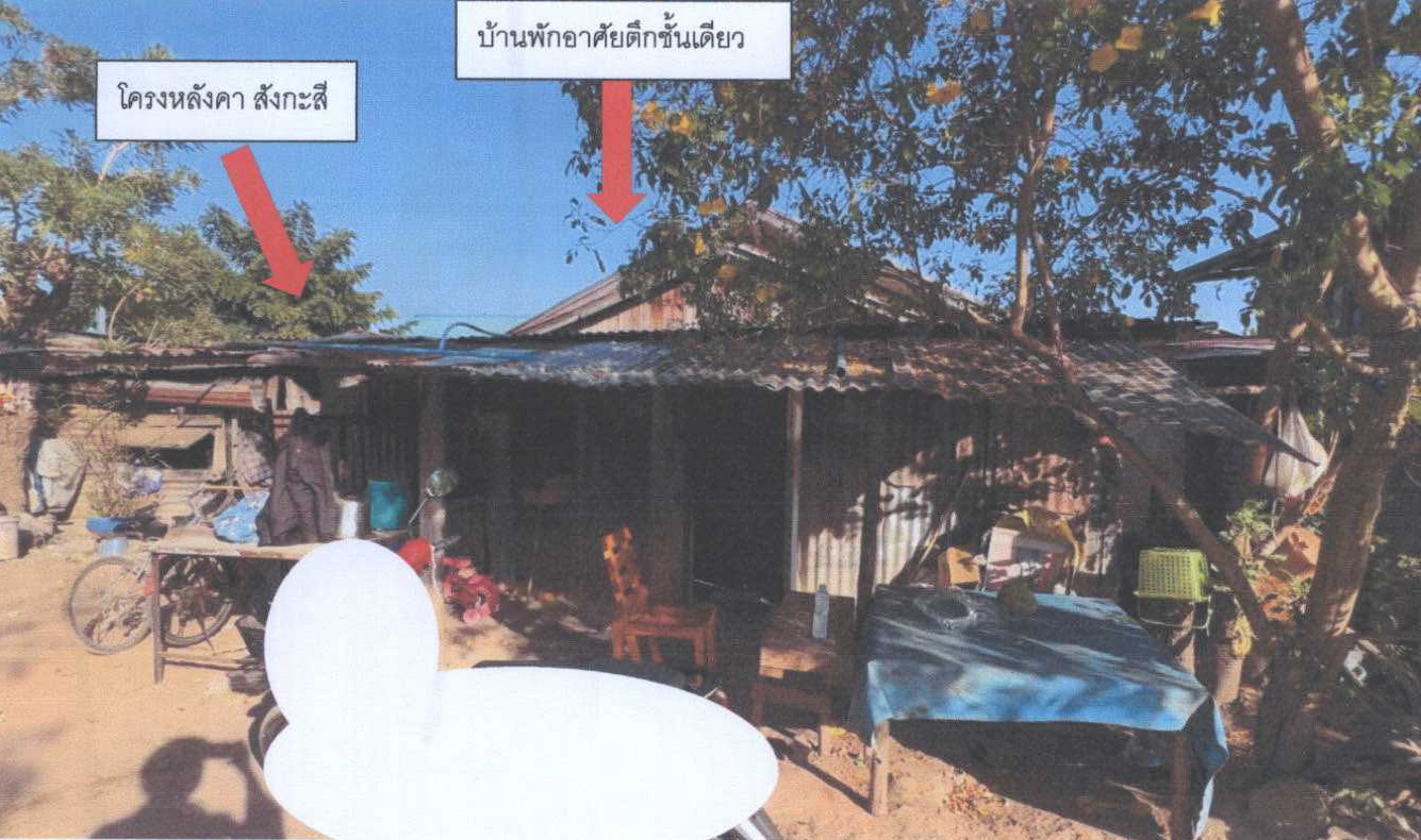 รูปที่ดินพร้อมสิ่งปลูกสร้าง กระโทก โชคชัย นครราชสีมา