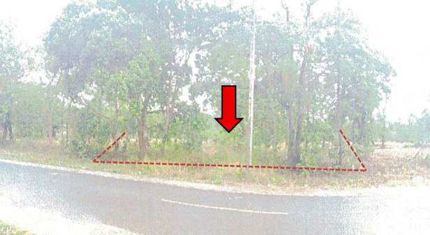 รูปที่ดินว่างเปล่า ยางสักกระโพหลุ่ม ม่วงสามสิบ อุบลราชธานี