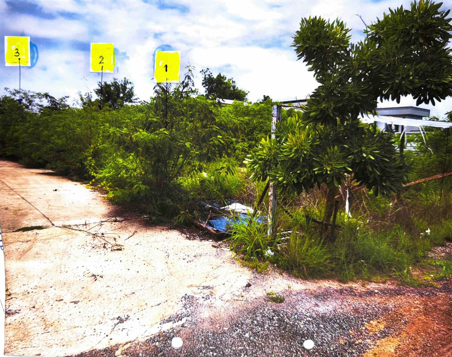 รูปที่ดินว่างเปล่า แดงใหญ่ เมืองขอนแก่น ขอนแก่น