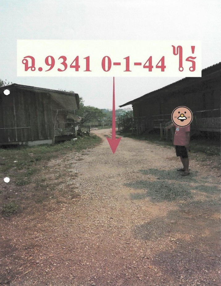 รูปที่ดินพร้อมสิ่งปลูกสร้าง เวียงชัย เวียงชัย เชียงราย