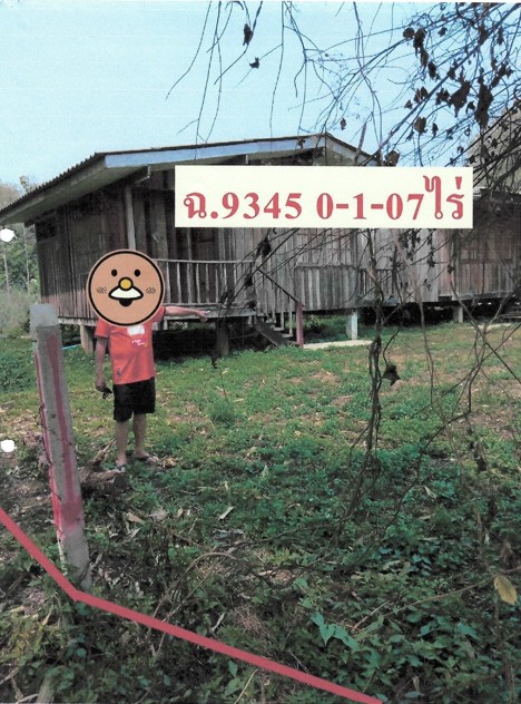 รูปที่ดินพร้อมสิ่งปลูกสร้าง เวียงชัย เวียงชัย เชียงราย