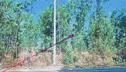 รูปที่ดินว่างเปล่า ดอกล้ำ ปทุมรัตต์ ร้อยเอ็ด