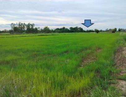 รูปที่ดินว่างเปล่า เมืองเพีย กุดจับ อุดรธานี
