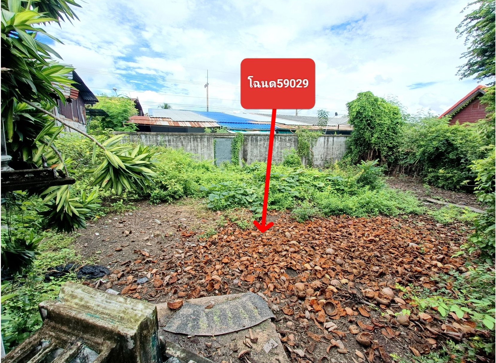 รูปที่ดินว่างเปล่า โนนสูง โนนสูง นครราชสีมา