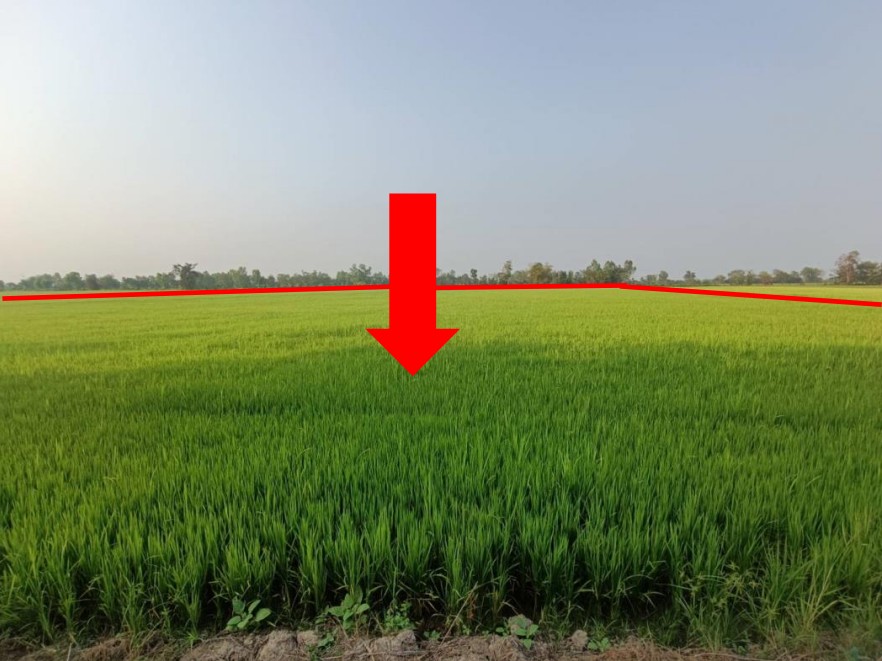 รูปที่ดินว่างเปล่า ท่าช้าง พรหมพิราม พิษณุโลก