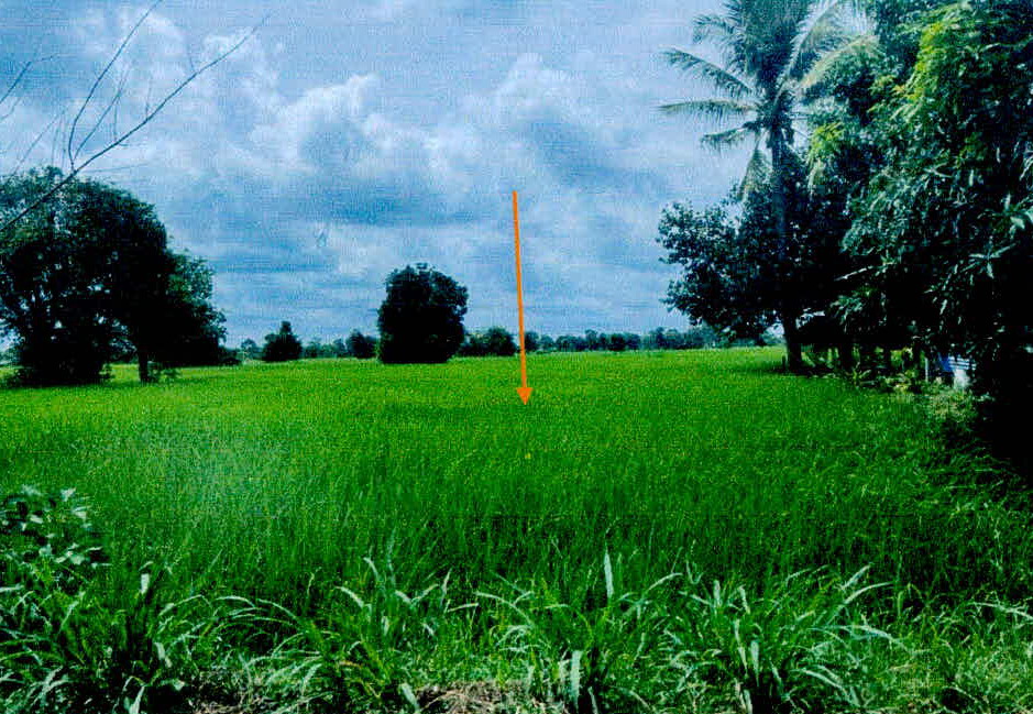 รูปที่ดินว่างเปล่า ขะยูง อุทุมพรพิสัย ศรีสะเกษ