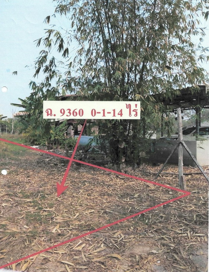 รูปที่ดินว่างเปล่า เวียงชัย เวียงชัย เชียงราย