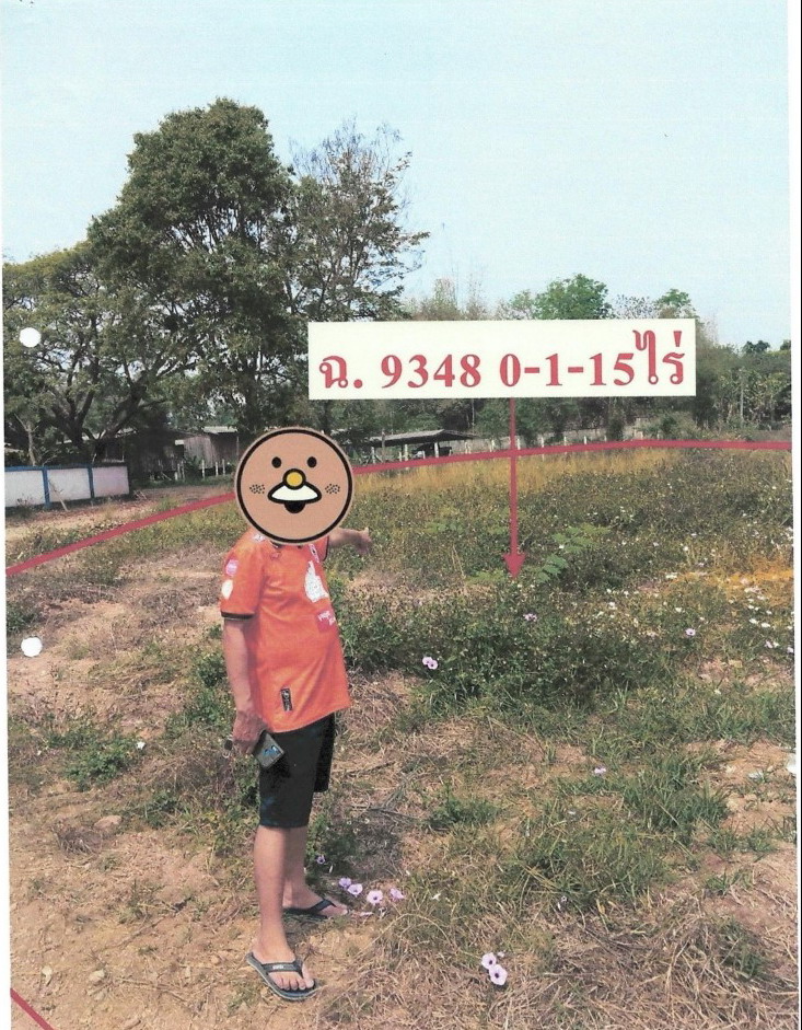 รูปที่ดินว่างเปล่า เวียงชัย เวียงชัย เชียงราย