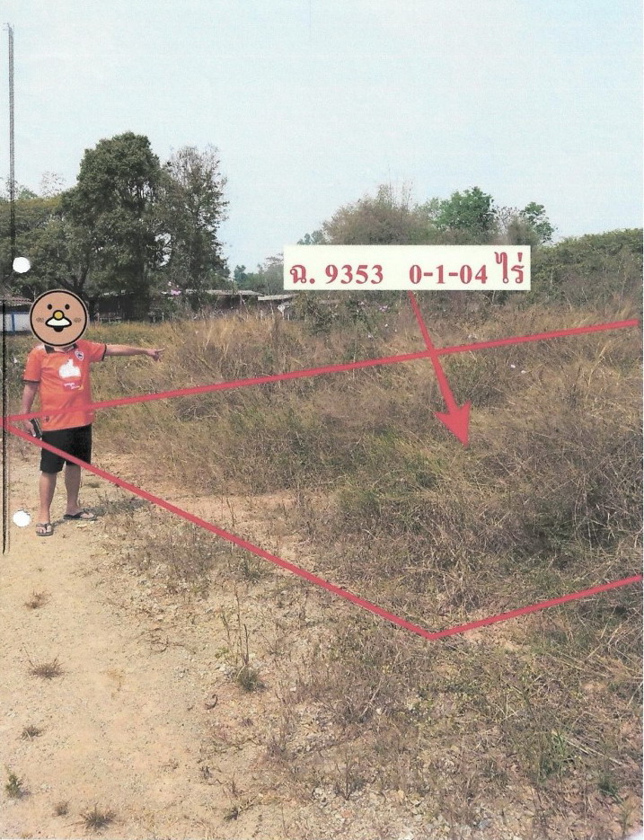 รูปที่ดินว่างเปล่า เวียงชัย เวียงชัย เชียงราย