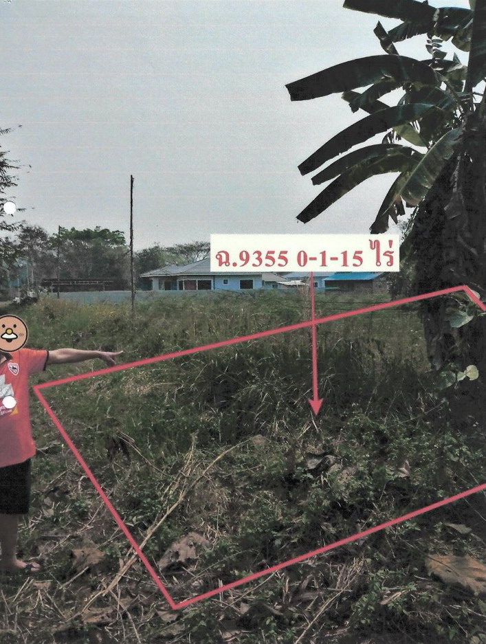 รูปที่ดินว่างเปล่า เวียงชัย เวียงชัย เชียงราย