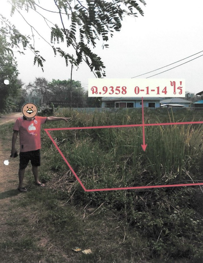 รูปที่ดินว่างเปล่า เวียงชัย เวียงชัย เชียงราย