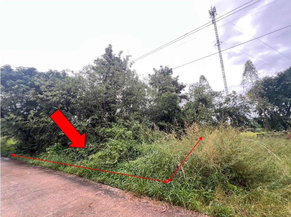 รูปที่ดินว่างเปล่า บ้านเป็ด เมืองขอนแก่น ขอนแก่น