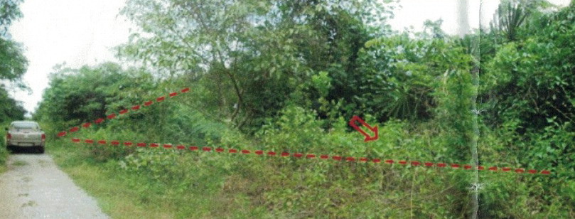 รูปที่ดินว่างเปล่า บ่อทอง หนองจิก ปัตตานี