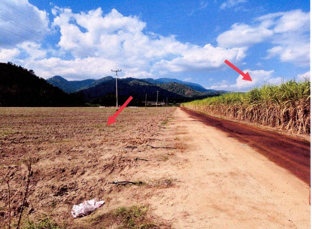 รูปที่ดินว่างเปล่า หนองรี บ่อพลอย กาญจนบุรี