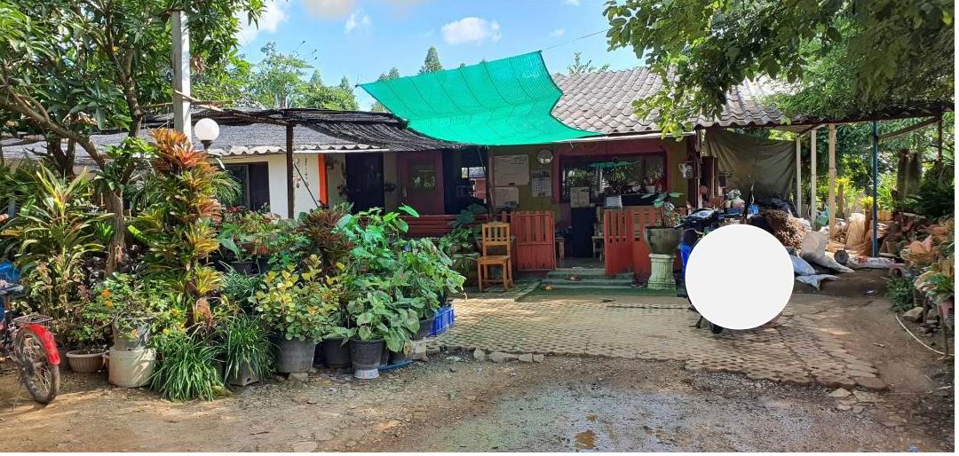 รูปที่ดินพร้อมสิ่งปลูกสร้าง บ่อทอง กบินทร์บุรี ปราจีนบุรี