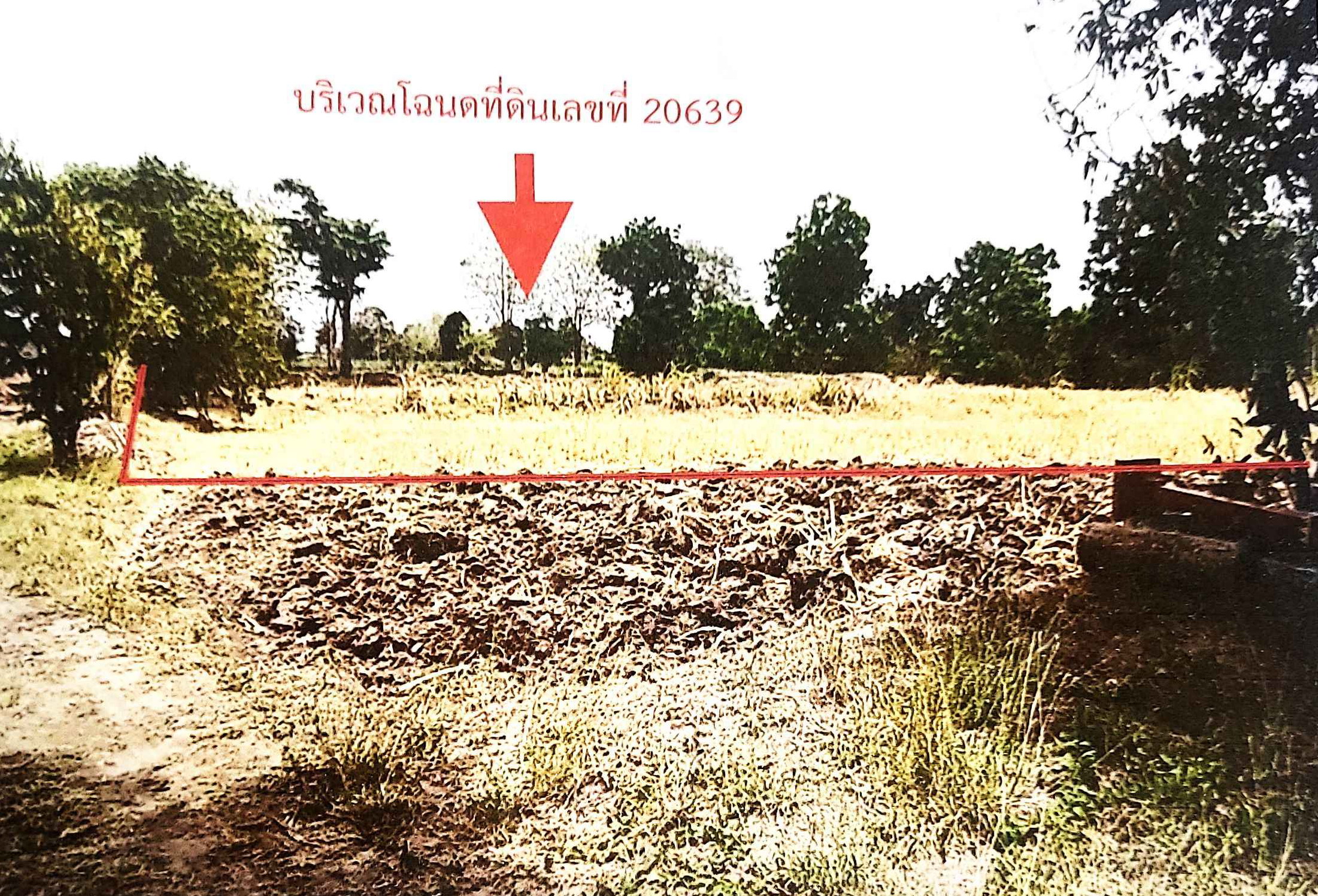 รูปที่ดินว่างเปล่า โนนค่า สูงเนิน นครราชสีมา