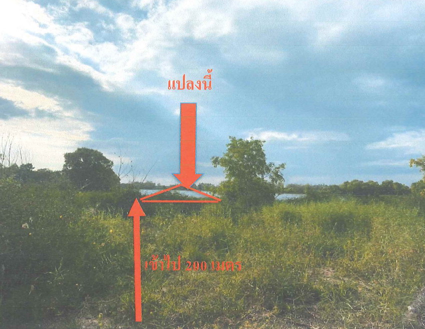 รูปที่ดินว่างเปล่า บ้านพริก บ้านนา นครนายก
