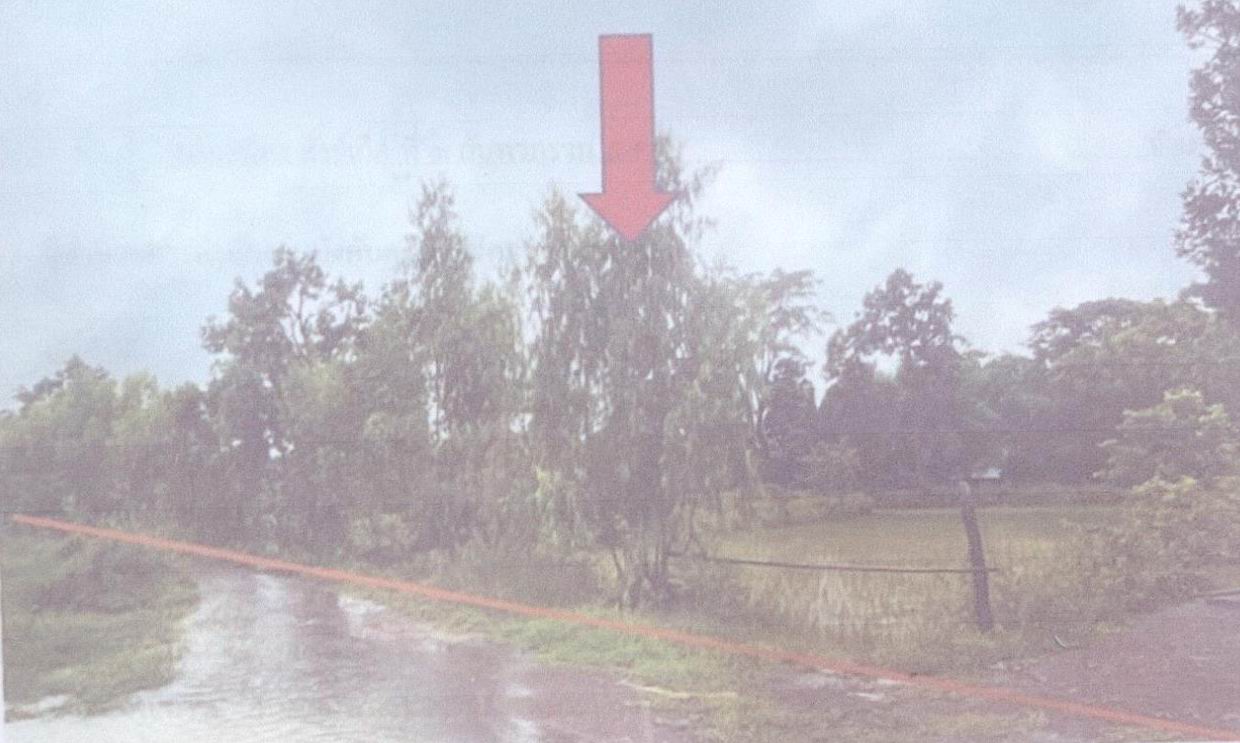 รูปที่ดินว่างเปล่า หนองกุง ตาลสุม อุบลราชธานี