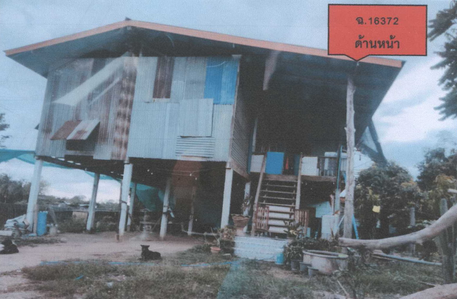 รูปที่ดินพร้อมสิ่งปลูกสร้าง หาดสองแคว ตรอน อุตรดิตถ์