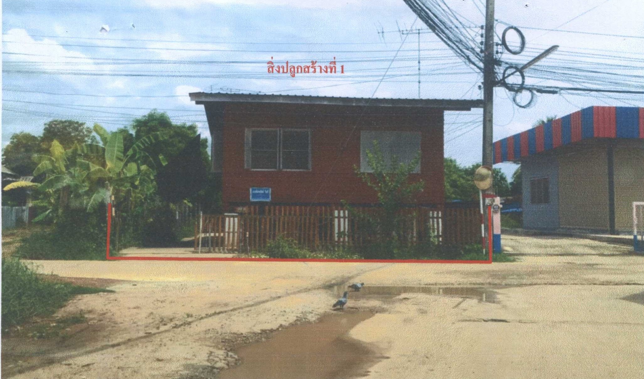 รูปที่ดินพร้อมสิ่งปลูกสร้าง หนองพยอม ตะพานหิน พิจิตร