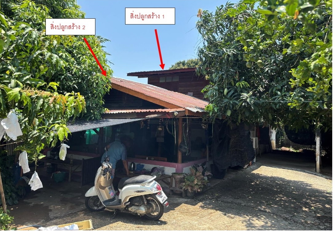 รูปที่ดินพร้อมสิ่งปลูกสร้าง สามเรือน ศรีสำโรง สุโขทัย