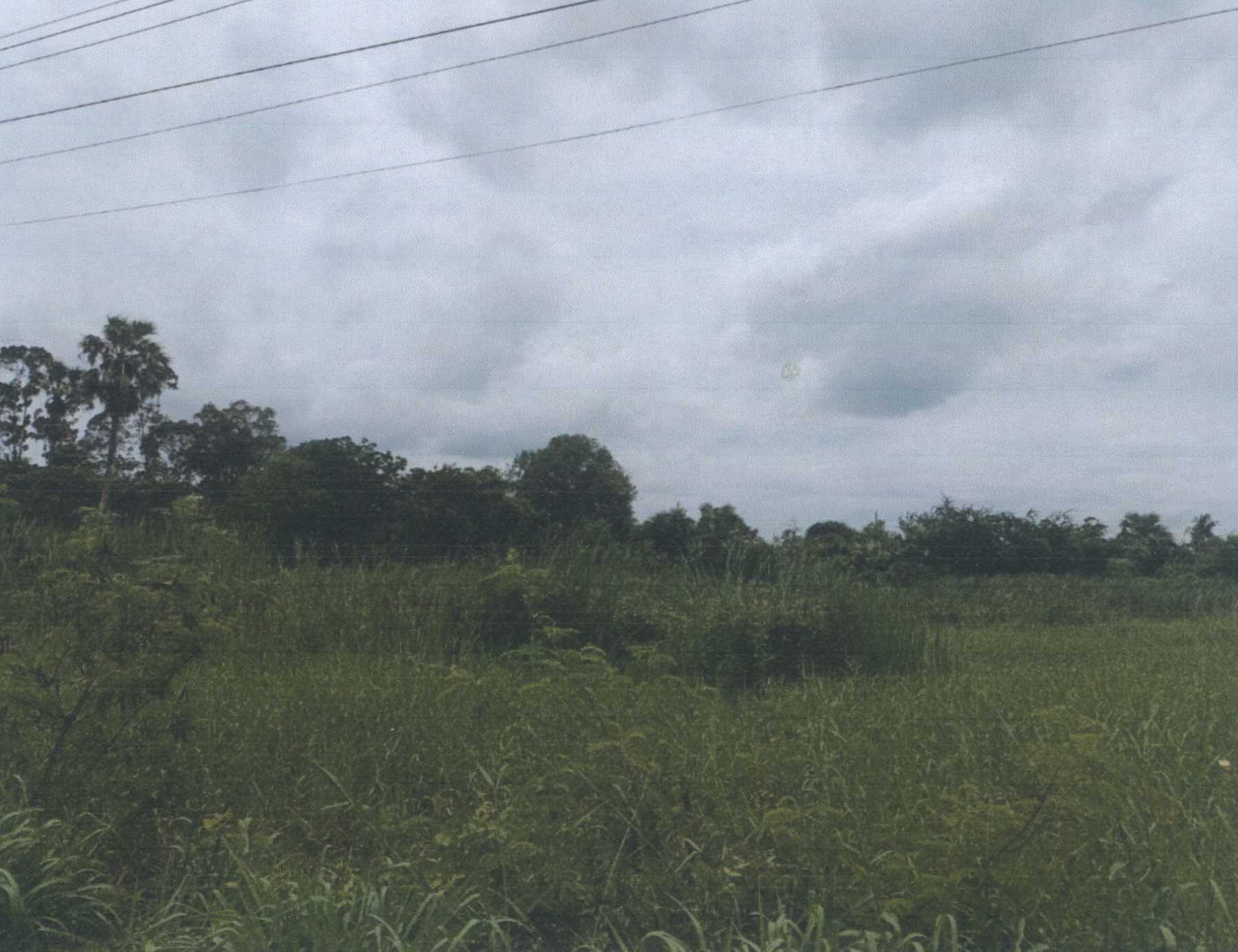 รูปที่ดินว่างเปล่า ท่าข้าม ค่ายบางระจัน สิงห์บุรี