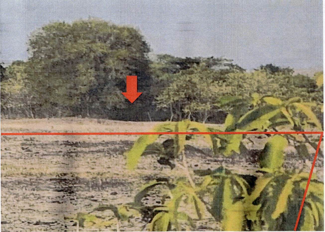 รูปที่ดินว่างเปล่า ล้อมแรด เถิน ลำปาง