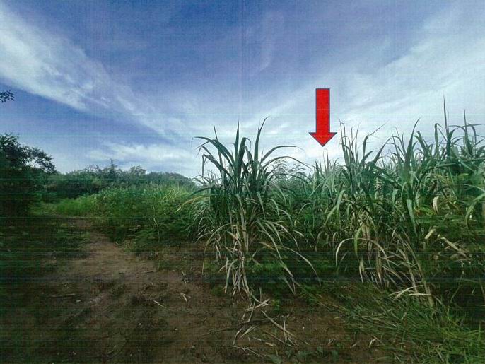 รูปที่ดินว่างเปล่า บ้านหัน เกษตรสมบูรณ์ ชัยภูมิ