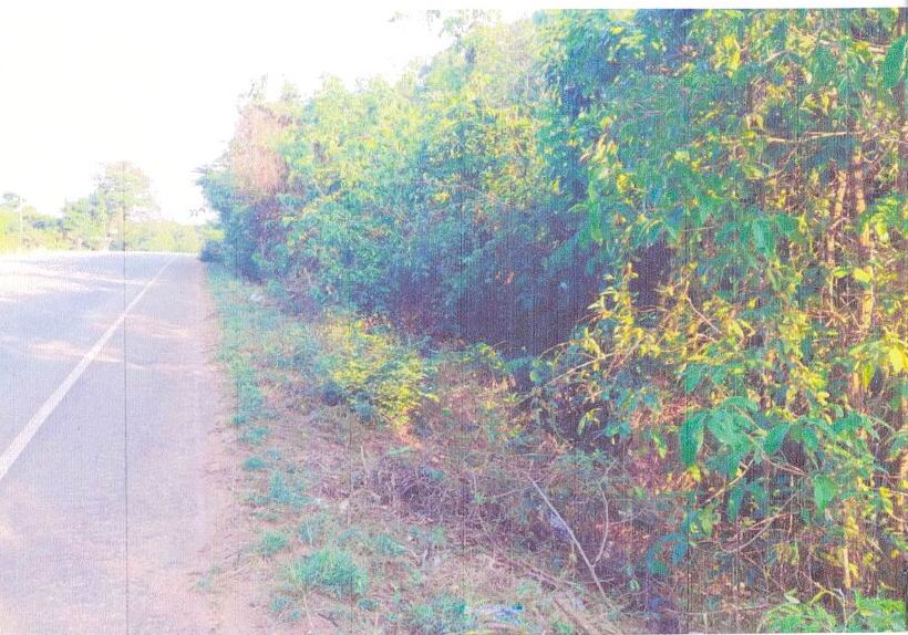 รูปที่ดินว่างเปล่า ดอนตาล ดอนตาล มุกดาหาร
