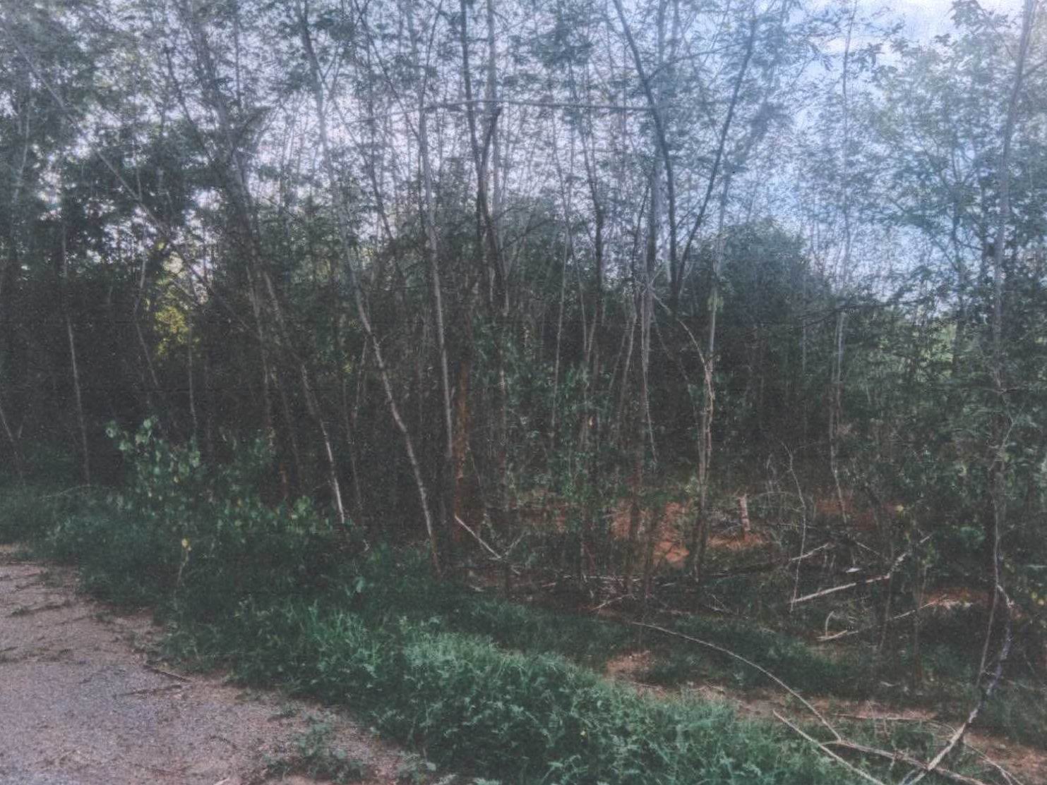 รูปที่ดินว่างเปล่า จรเข้สามพัน อู่ทอง สุพรรณบุรี