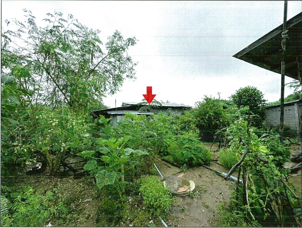 รูปที่ดินพร้อมสิ่งปลูกสร้าง ยกกระบัตร สามเงา ตาก