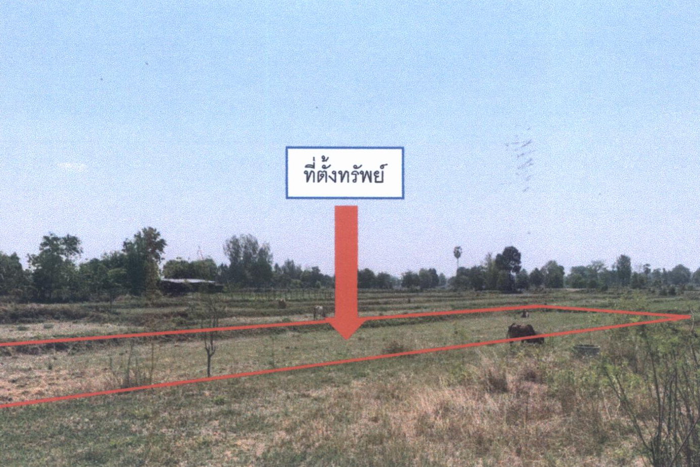 รูปที่ดินว่างเปล่า แวงใหญ่ แวงใหญ่ ขอนแก่น