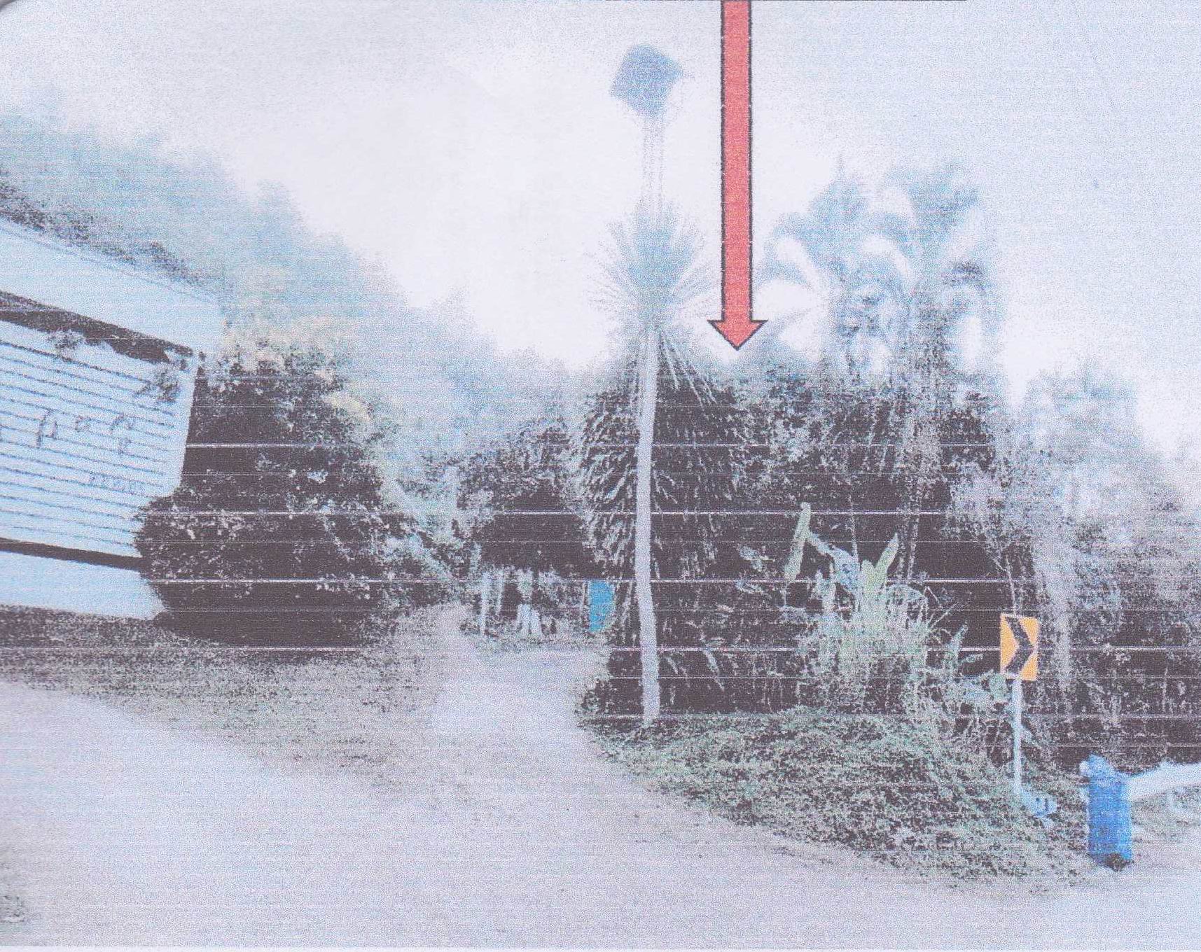 รูปที่ดินว่างเปล่า อุ้มผาง อุ้มผาง ตาก