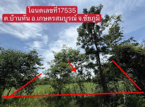 รูปที่ดินว่างเปล่า บ้านหัน เกษตรสมบูรณ์ ชัยภูมิ