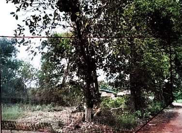 รูปที่ดินว่างเปล่า วังชมภู พรเจริญ บึงกาฬ