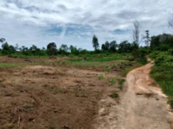 รูปที่ดินว่างเปล่า ตะมะยูง ศรีสาคร นราธิวาส
