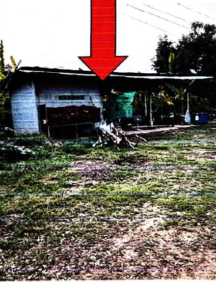 รูปที่ดินพร้อมสิ่งปลูกสร้าง บ้านกง หนองเรือ ขอนแก่น