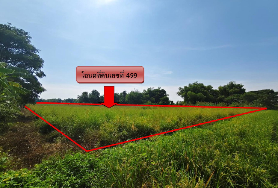 รูปที่ดินว่างเปล่า (แม่เล่ย์) วังซ่าน แม่วงก์ นครสวรรค์