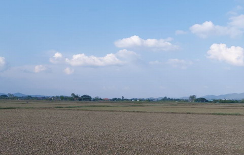 รูปที่ดินว่างเปล่า โรงช้าง ป่าแดด เชียงราย