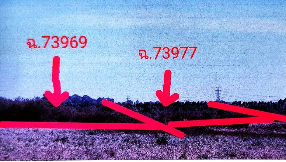 รูปที่ดินว่างเปล่า ย่านรี กบินทร์บุรี ปราจีนบุรี