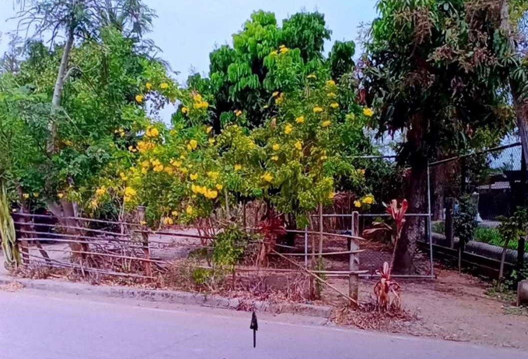รูปที่ดินว่างเปล่า นามะเฟือง เมืองหนองบัวลำภู หนองบัวลำภู
