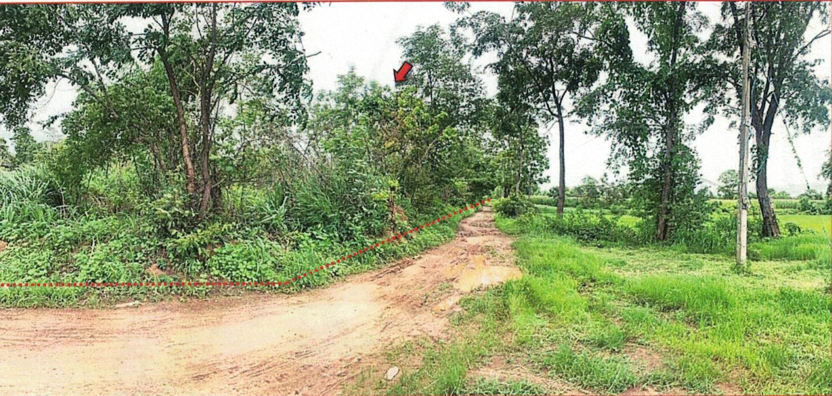 รูปที่ดินว่างเปล่า นากระแซง เดชอุดม อุบลราชธานี
